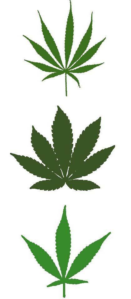 Quale bong scegliere per fumare Marijuana