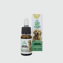 OLIO AL CBD PER CANI 4%