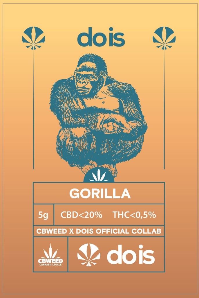 Dois Gorilla 5g