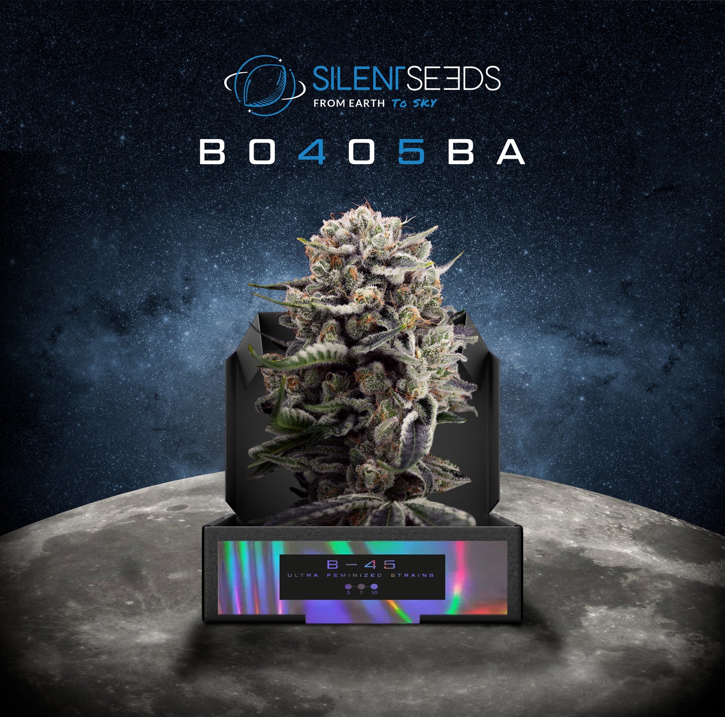 Silent Seeds Booba 45 B-45