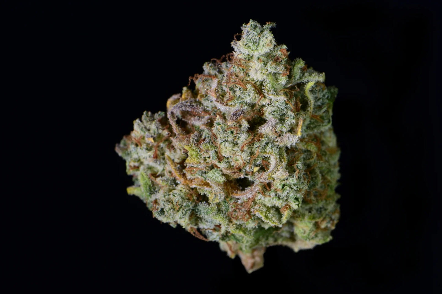 Fast Buds Gelato Auto