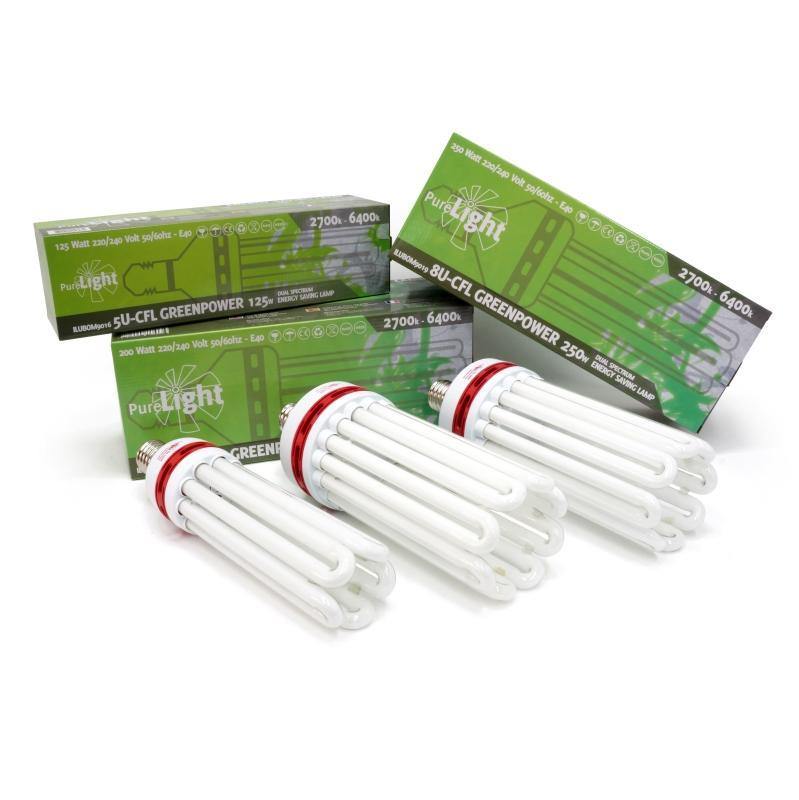 125 W, Aeroponica, Bulbo, CFL, Coltivazione, Fase_Agro, Fase_Crescita, Fase_Fioritura, Idroponica, ILLUMINAZIONE, Indoor, LAMPADE, Potenza_125 W, Potenza_200 W, Potenza_250 W, PURE LIGHT, PURE LIGHT (CFL), Tipo_Lampade CFL - doisgrowshop.it