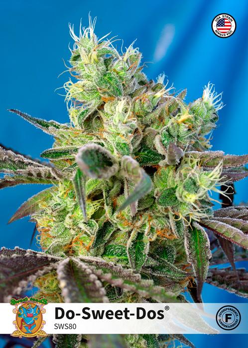 Sweet Seeds Do Sweet Dos® Offerta