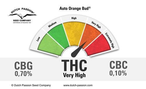 Aeroponica, AUTOFIORENTI, Brands_Dutch Passion, CBD, Coltivazione, Idroponica, Indoor, Offerta, Outdoor, Semi, Semi da collezione, THC, Tipo_Auto Fiorenti - doisgrowshop.it