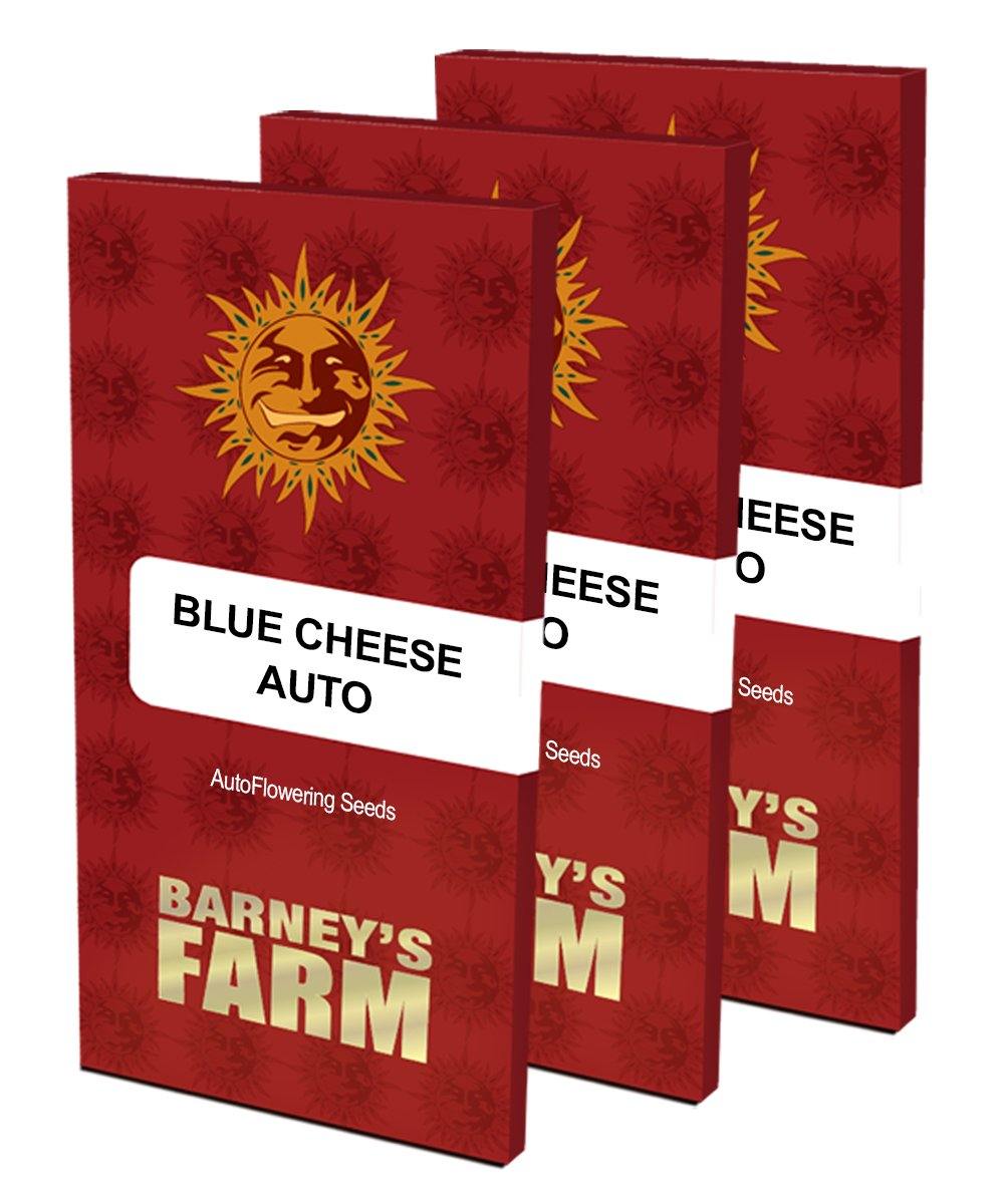Aeroponica, AUTOFIORENTI, Barney's Farm, Blueberry Cheese Auto, Brands_Barney's Farm, Coltivazione, Idroponica, Indoor, Outdoor, Semi, THC, Tipo_Auto Fiorenti - doisgrowshop.it