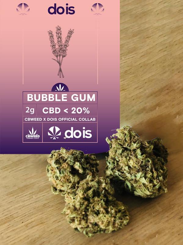 Brands_DOIS, Bubblegum, Cbweed, Dois, fiori, Legale, Light, Mary, Peso_2 g - doisgrowshop.it