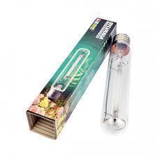 Aeroponica, AGRO, Brands_Sylvania, Coltivazione, Fase_Agro, Fase_Crescita, Fase_Fioritura, hps, Idroponica, illuminazione, Indoor, LAMPADE, LAMPADE A SCARICA, LAMPADE HPS/AGRO, Potenza_250 W, Potenza_400 W, Potenza_600 W, SYLVANIA, SYLVANIA (HPS/AGRO), Tipo_Lampade HPS/MH - doisgrowshop.it