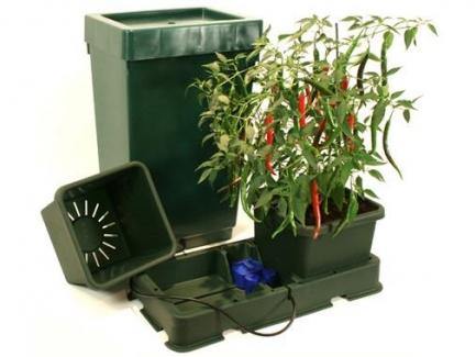 Brands_Autopot, coltivazione, coltura senza suolo, Easy2grow, idroponica, IDROPONICA E COLTIVAZIONE FUORI SUOLO, SISTEMI DI COLTIVAZIONE FUORI SUOLO - doisgrowshop.it