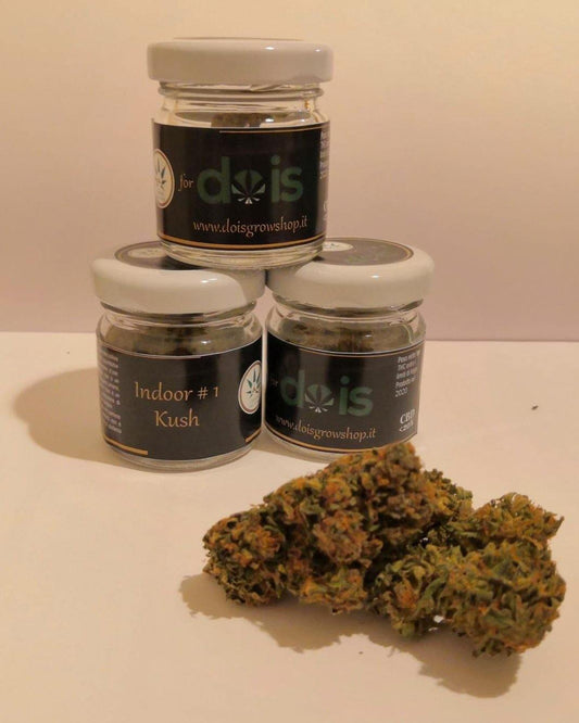Brands_DOIS, Cbweed, Diamond, Dois, fiori, Legale, Light, Mary, Peso_1 g - doisgrowshop.it