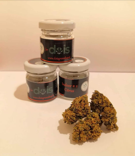 Brands_DOIS, Cbweed, Diamond, Dois, fiori, Legale, Light, Mary, Peso_1g - doisgrowshop.it