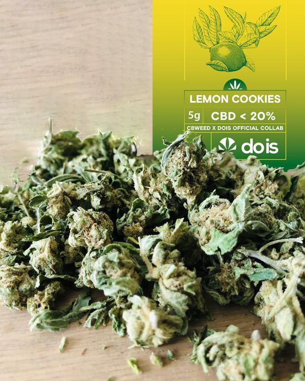 Brands_DOIS, Cbweed, Dois, fiori, Legale, Lemon, Lemon Cookies, Light, Mary, Peso_10 g, Peso_5 g - doisgrowshop.it
