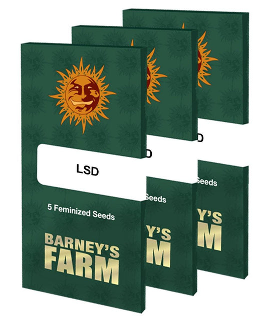 Aeroponica, Barney's Farm, Brands_Barney's Farm, Coltivazione, FEMMINIZZATI, Idroponica, Indoor, LSD, Outdoor, Semi, THC, Tipo_Femminizzati - doisgrowshop.it