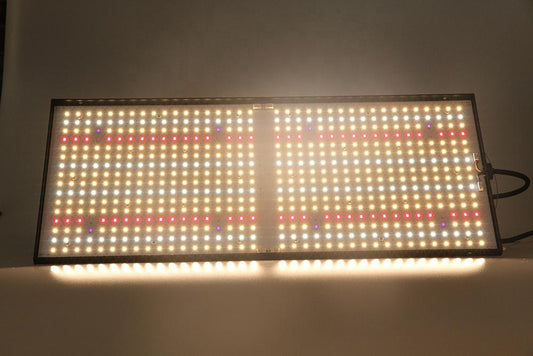 Aeroponica, Brands_Phytolite, Coltivazione, Fase_Agro, Fase_Crescita, Fase_Fioritura, Idroponica, illuminazione, impianti illuminazione, Indoor, LED, LED coltivazione, Offerta, Potenza_240 W, Tipo_Illuminazione LED, Tipo_Kit Illuminazione - doisgrowshop.it