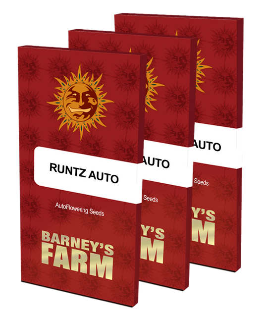 Aeroponica, AUTOFIORENTI, Barney's Farm, Brands_Barney's Farm, Coltivazione, Idroponica, Indoor, Outdoor, Runtz Auto, Semi, THC, Tipo_Auto Fiorenti - doisgrowshop.it