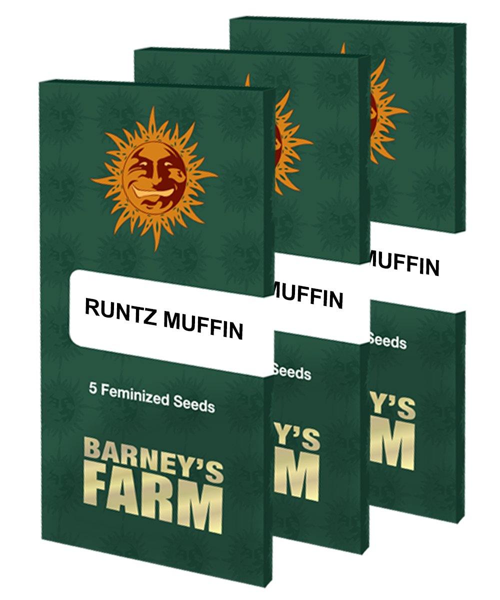 Aeroponica, Barney's Farm, Brands_Barney's Farm, Coltivazione, FEMMINIZZATI, Idroponica, Indoor, Outdoor, Runtz Muffin, Semi, THC, Tipo_Femminizzati - doisgrowshop.it
