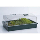 Germinazione, GERMINAZIONE E TALEAGGIO, propagatori, Propagazione, Semi, Serra, SERRE, serre rigide, Serretta, Taleaggio, Talee, THE PURE FACTORY, Tipo_Mini Serre - doisgrowshop.it