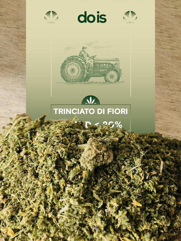 Brands_DOIS, Cbweed, Dois, fiori, Legale, Light, Mary, Peso_10 g, Trinciato di fiori - doisgrowshop.it