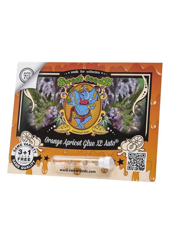 Sweet Seeds Orange Apricot Glue XL Auto