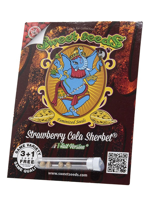 Sweet Seeds Strawberry Cola Sherbet F1 Fast Version