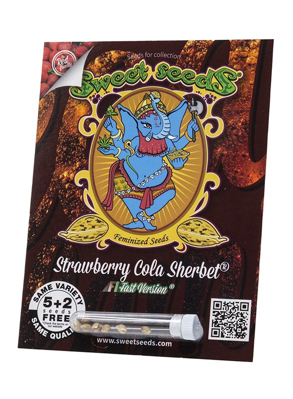 Sweet Seeds Strawberry Cola Sherbet F1 Fast Version
