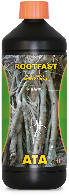 Atami Root Fast