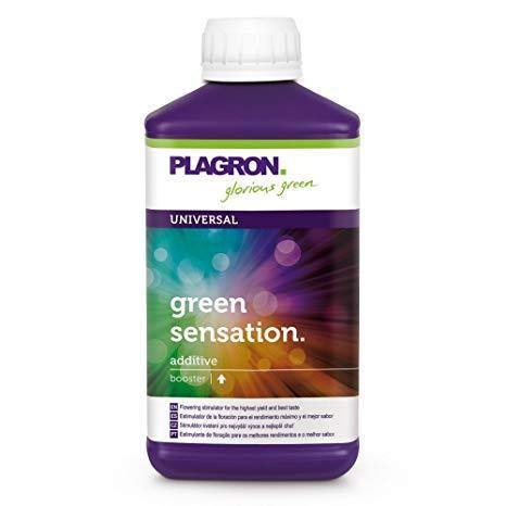 Brands_Plagron, coltivazione, crescita, CURA DELLE PIANTE, Fase_Fioritura, fertilizzante, Fertilizzanti, FERTILIZZANTI AMMENDANTI, Fertilizzanti Plagron, Indoor, nutrimento, Outdoor, plagron, stimolante, Tipo_Fertilizzanti - doisgrowshop.it