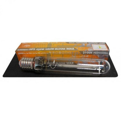 Aeroponica, Agro, Agrolight, Coltivazione, Idroponica, illuminazione, impianti illuminazione, Indoor, Kit Illuminazione, lampade coltivazione, Offerta, Potenza_250 W, Tipo_Illuminazione HPS, Tipo_Kit Illuminazione - doisgrowshop.it