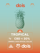 Brands_DOIS, Cbweed, Dois, fiori, Legale, Light, Mary, Peso_5 g, Tropical, Tropical Cheese - doisgrowshop.it