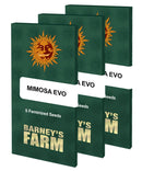 Aeroponica, Barney's Farm, Brands_Barney's Farm, Coltivazione, FEMMINIZZATI, Idroponica, Indoor, Mimosa EVO, Outdoor, Semi, THC, Tipo_Femminizzati - doisgrowshop.it