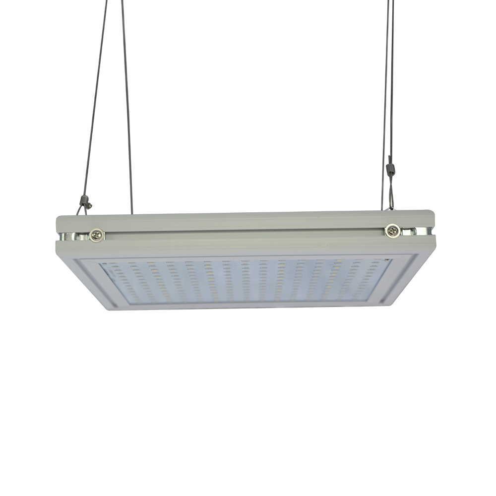 Aeroponica, Armadio coltivazione, Brands_DOIS, Coltivazione, Dimensioni_40cm x 40cm x 140cm, growbox, growrooms, Growtent, Idroponica, Illuminazione Indoor, Impianti illuminazione, Indoor, led, LED coltivazione, Offerta, Tipo_Growbox Complete, Tipo_Illuminazione LED - doisgrowshop.it