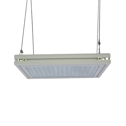 Aeroponica, Armadio coltivazione, Brands_DOIS, Coltivazione, Dimensioni_40cm x 40cm x 140cm, growbox, growrooms, Growtent, Idroponica, Illuminazione Indoor, Impianti illuminazione, Indoor, led, LED coltivazione, Offerta, Tipo_Growbox Complete, Tipo_Illuminazione LED - doisgrowshop.it