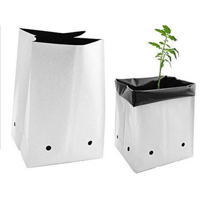 Aeroponica, Armadio coltivazione, Brands_DOIS, Coltivazione, Dimensioni_100cm x 100cm x 200cm, growbox, growrooms, Growtent, Idroponica, Illuminazione Indoor, Impianti illuminazione, Indoor, Offerta, Tipo_Growbox Complete, Tipo_Illuminazione HPS - doisgrowshop.it