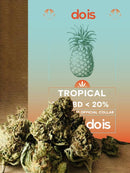 Brands_DOIS, Cbweed, Dois, fiori, Legale, Light, Mary, Peso_5 g, Tropical, Tropical Cheese - doisgrowshop.it